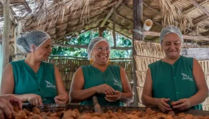 familia-ribeirinha-transforma-saber-ancestral-em-renda-e-conservacao-|-asn-nacional-–-agencia-sebrae-de-noticias