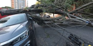 respostas-a-crise-climatica-exigem-inovacao,-defende-setor-eletrico
