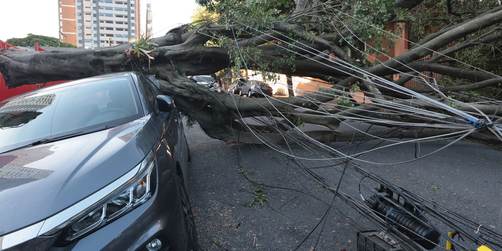 respostas-a-crise-climatica-exigem-inovacao,-defende-setor-eletrico