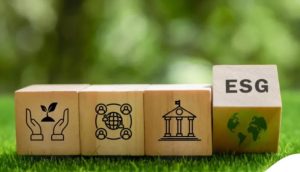 certificacao-reconhece-boas-praticas-de-esg-e-valoriza-pequenos-negocios-no-mercado-|-asn-nacional-–-agencia-sebrae-de-noticias