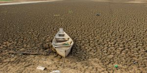 brasil-promete-restaurar-163-mil-km²-de-terras-degradadas-ate-2030 
