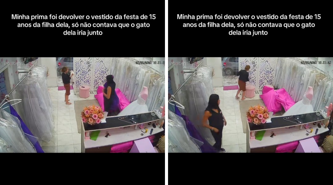 cliente-devolve-vestido-de-festa-e-descobre-na-loja-que-gato-estava-dentro;-veja-o-video