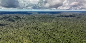 fazenda-autoriza-credito-de-us$-1-bilhao-do-bid-para-eco-invest-brasil