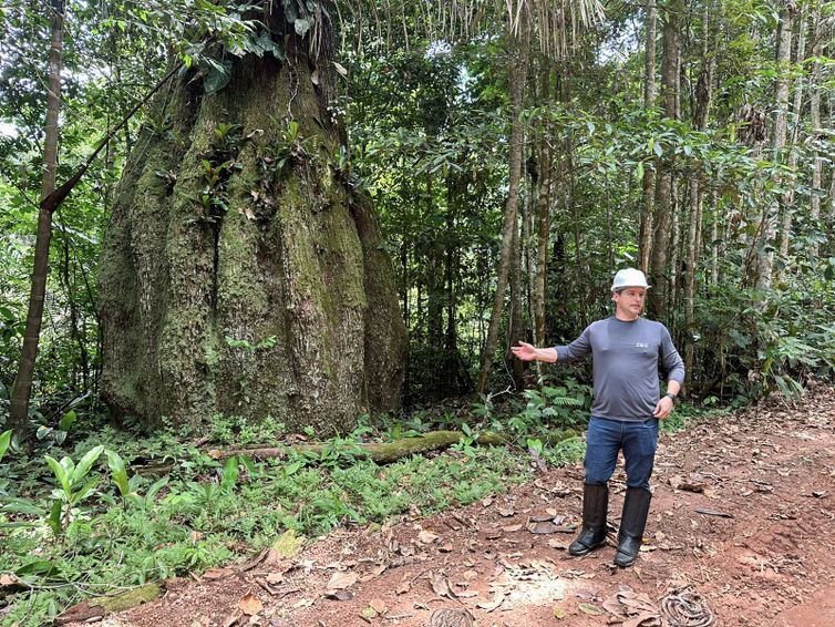 Fabíola Sinimbú /Agência Brasil Brasília (DF), 02/09/2026 – Carlos Jacob, diretor presidente da ZEG - Floresta Amazônica conservada em Caracaraí Foto: Fabíola Sinimbú/Agência Brasil