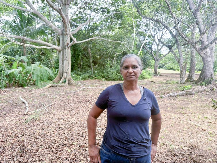 Fabíola Sinimbú /Agência Brasil Brasília (DF), 02/09/2026 – Eliane de Sena, extrativista e secretária da Agrocar, extrativista de castanha - Floresta Amazônica conservada em Caracaraí Foto: Fabíola Sinimbú/Agência Brasil