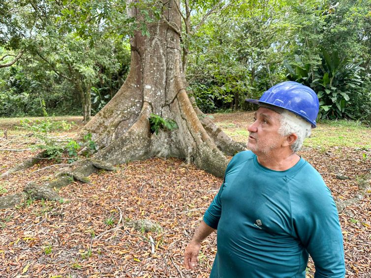 Fabíola Sinimbú /Agência Brasil Brasília (DF), 02/09/2026 – João Inácio Neto, extrativista de castanha - Floresta Amazônica conservada em Caracaraí Foto: Fabíola Sinimbú/Agência Brasil