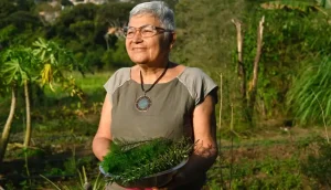agricultora-transforma-plantas-do-cerrado-em-autonomia-e-renda-|-asn-nacional-–-agencia-sebrae-de-noticias