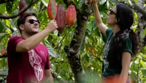empresa-brasiliense-exporta-chocolate-para-portugal-e-ja-mira-em-novos-mercados-|-asn-nacional-–-agencia-sebrae-de-noticias