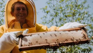 mel-de-capanema,-do-parana,-e-a-mais-nova-indicacao-geografica-brasileira-|-asn-nacional-–-agencia-sebrae-de-noticias