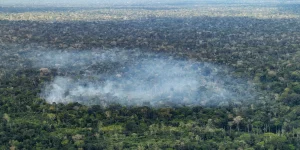 estudo-aponta-atividade-humana-nas-emissoes-de-carbono-na-amazonia