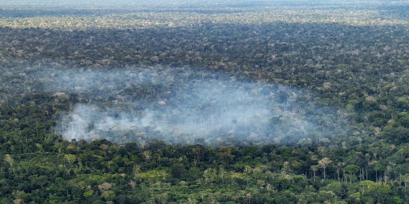 estudo-aponta-atividade-humana-nas-emissoes-de-carbono-na-amazonia