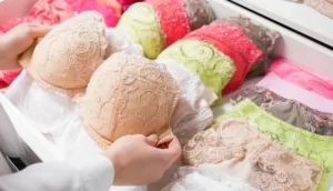 capital-da-lingerie:-nova-friburgo-conquista-a-mais-nova-indicacao-geografica-do-pais-|-asn-nacional-–-agencia-sebrae-de-noticias
